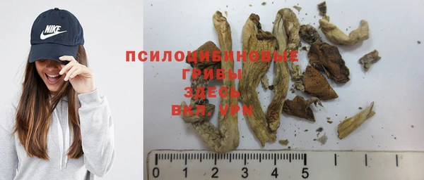 круглые Покачи