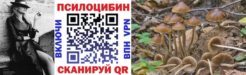 Галлюциногенные грибы мухоморы  Приволжский 